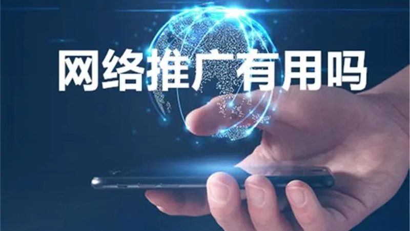 新手如何选择网站推广平台？四大关键因素揭秘